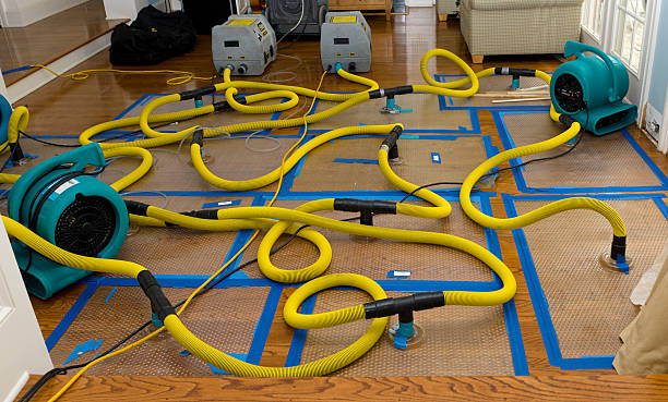 Professional Emergency Water Removal technician working in Howard City, MI