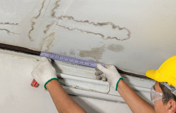 Affordable Water Damage Repair solutions in Howard City, MI